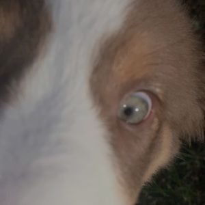 Meet your Posher, Briana